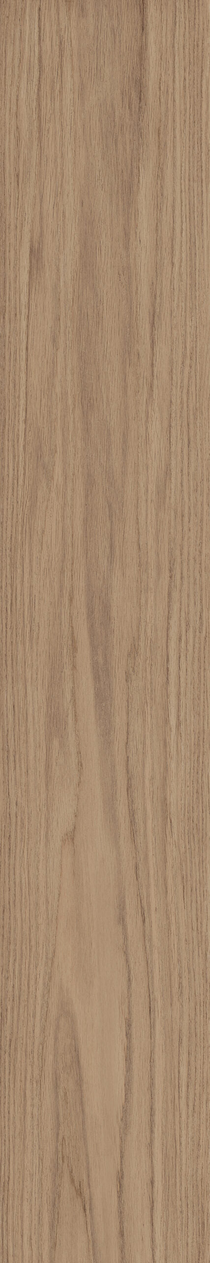 Elegance Walnut 20x120