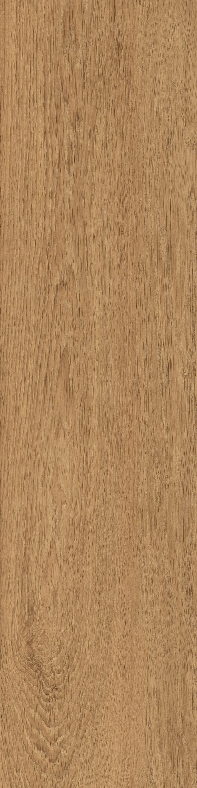 Elegance Walnut 30x120
