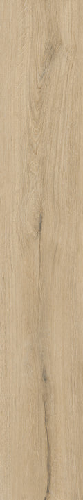 Discovery Mid 20x120