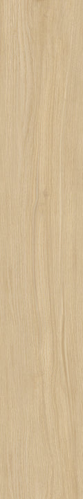 Discovery Soft 20x120