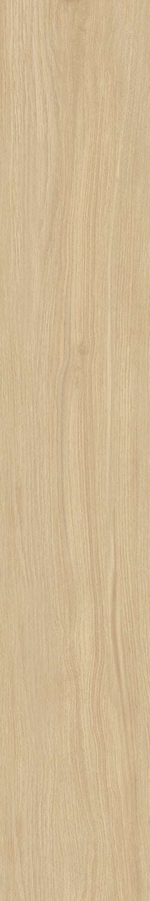 Discovery Soft 20x120