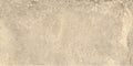 Timeless Beige 60x120