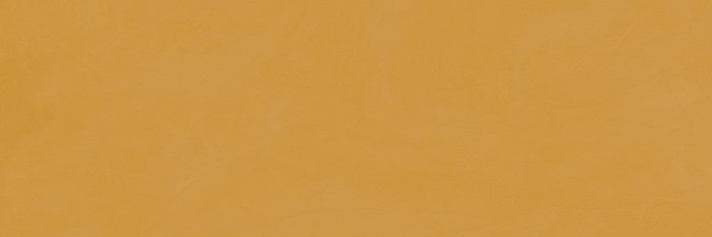 Brush Camel 33,3x100