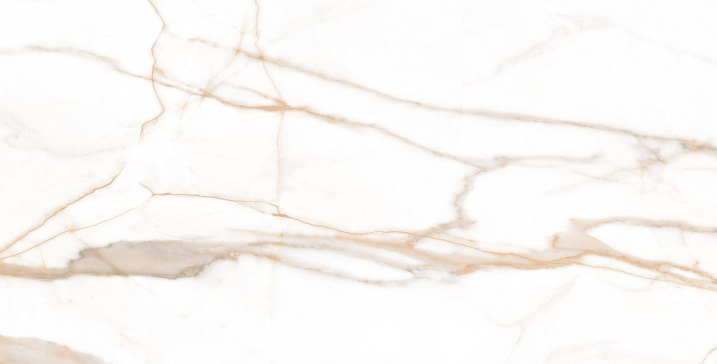 Calacatta Oro 60x120