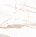 Calacatta Oro 120x120