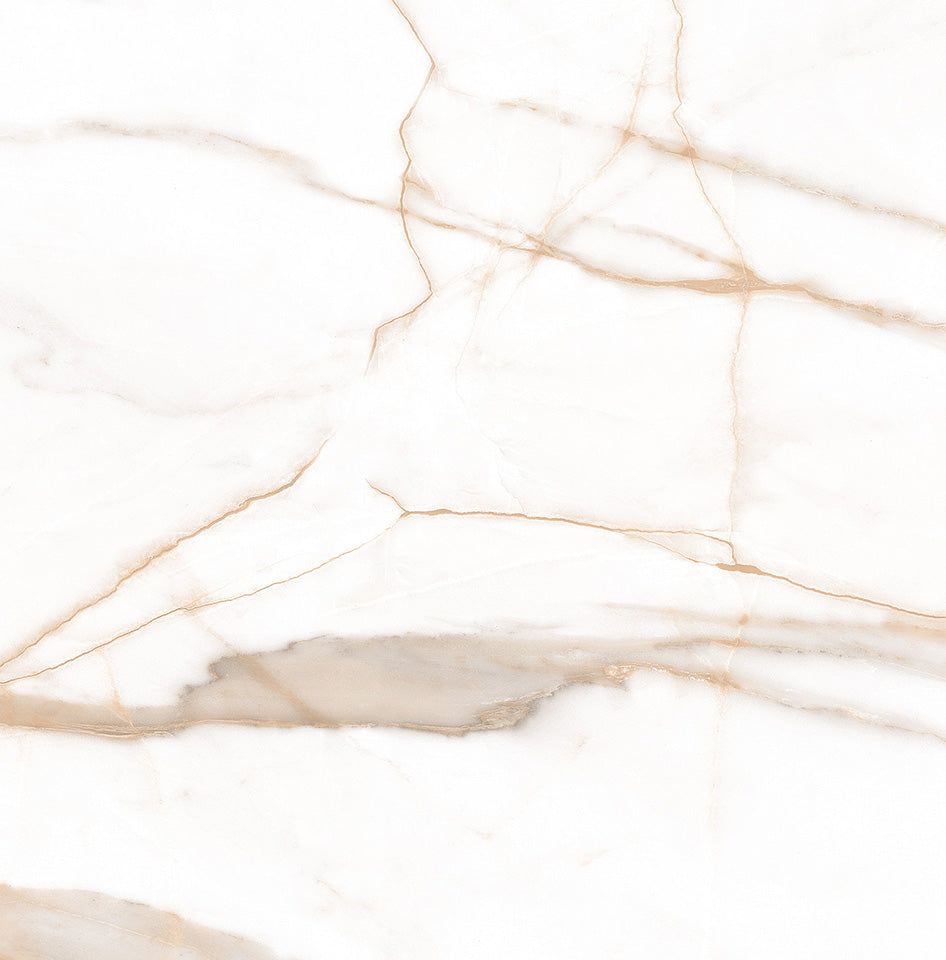 Calacatta Oro 120x120