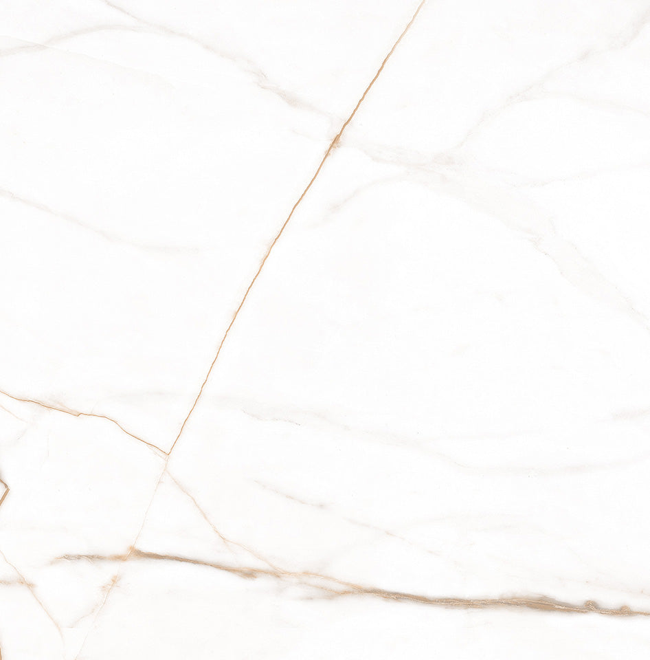 Calacatta Oro 80x80