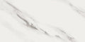 Carrara 60x120