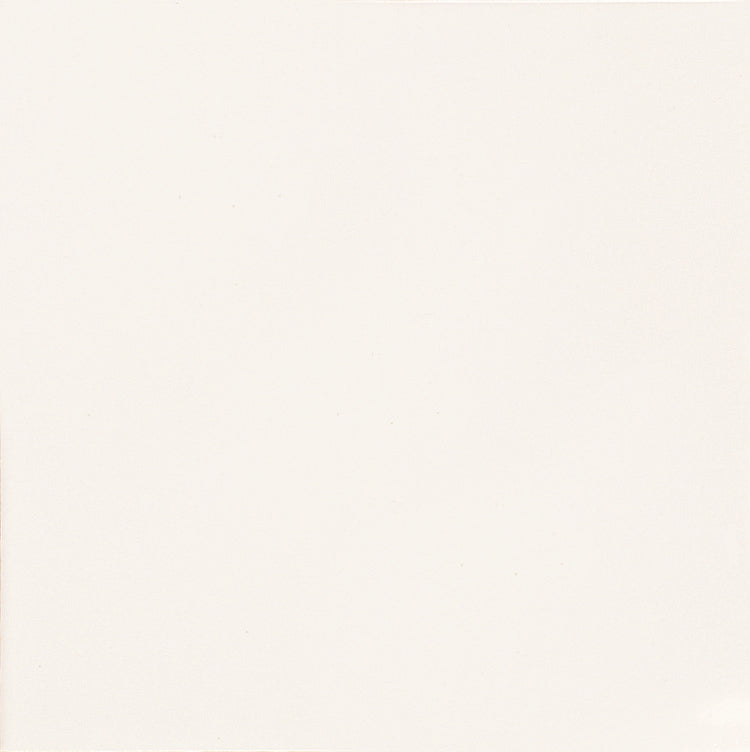 Colors Bianco Matt 20x20