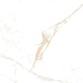 Noor Statuario Gold 60x60