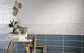 Piccadilly Inserto Ricamo Bianco Matt 1/2 10x30