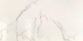 Apuane Statuario Matt 60x120